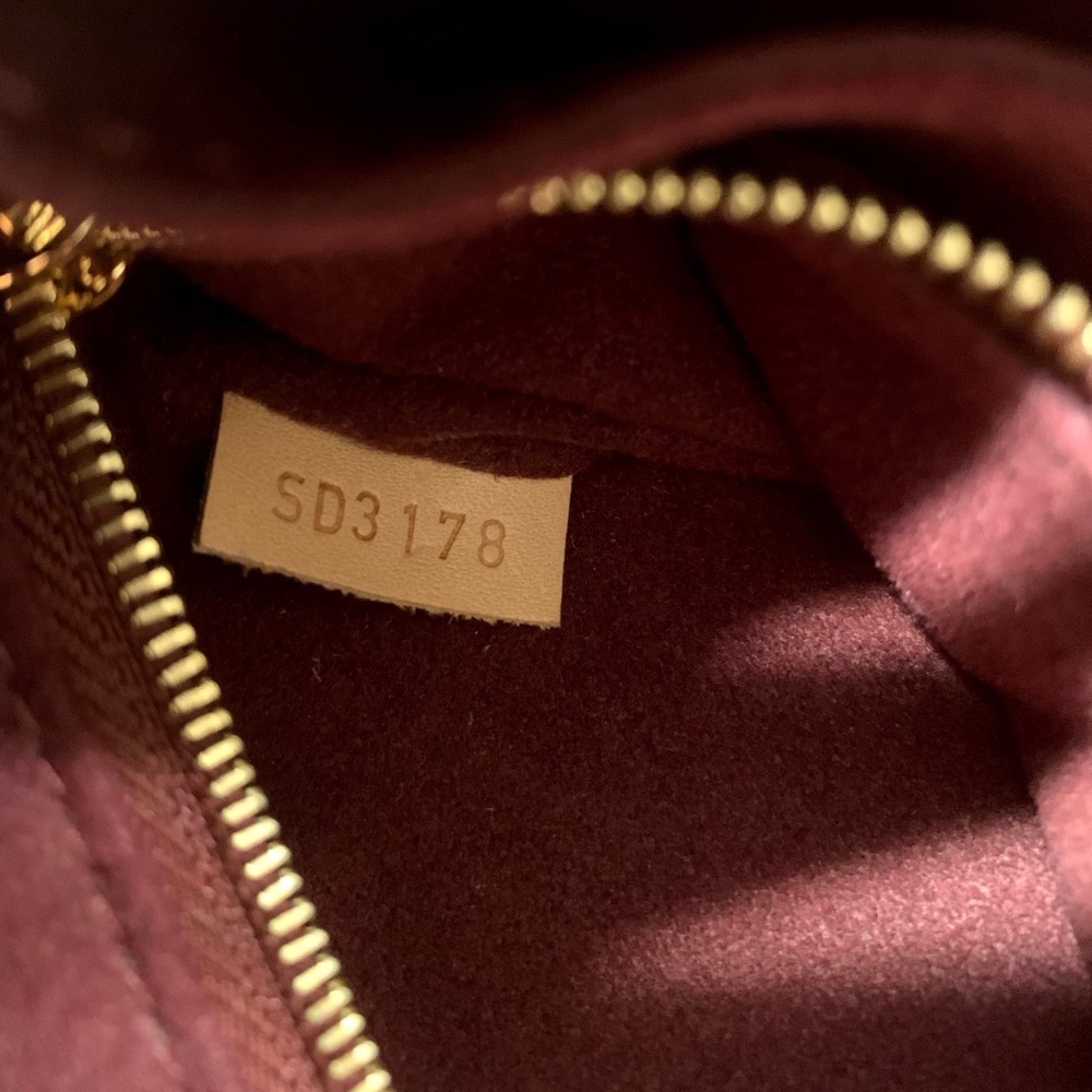 The Louis Vuitton Flower Hobo.